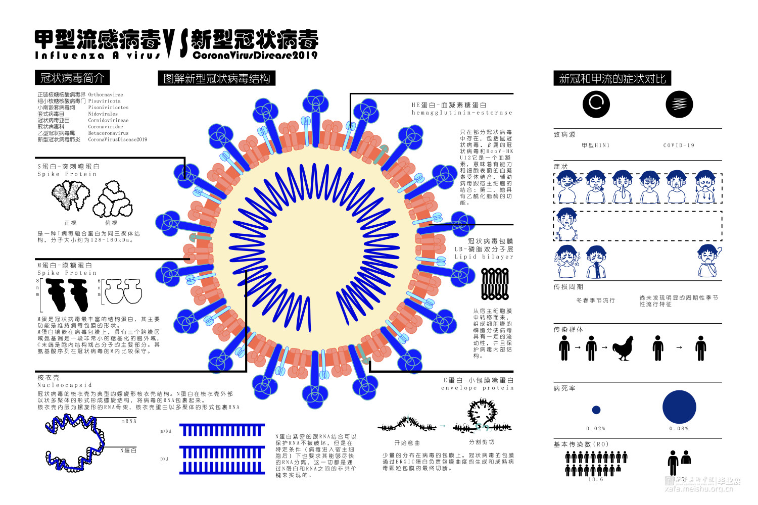 新冠60x90_画板 1.jpg