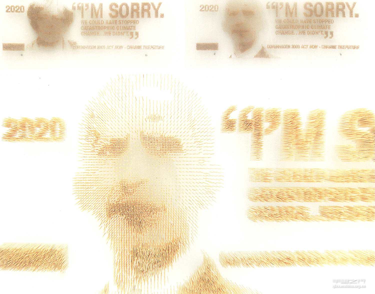 我的几颗小树苗