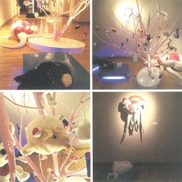 找到你的另一半