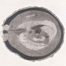 《生命的幻象&middot;孕》之一 《孕》之二 《孕》之三