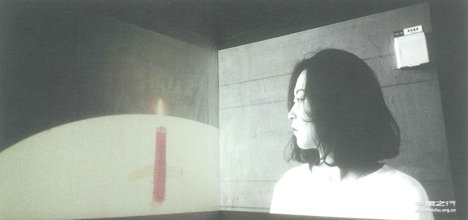 《花园中鹅卵石的白色》