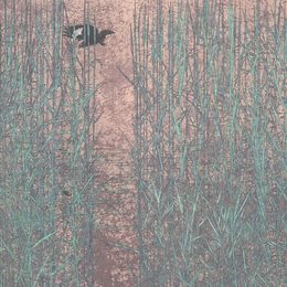 《烟鸟栖初定》