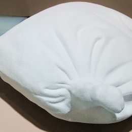 &ldquo;觉&rdquo;醒