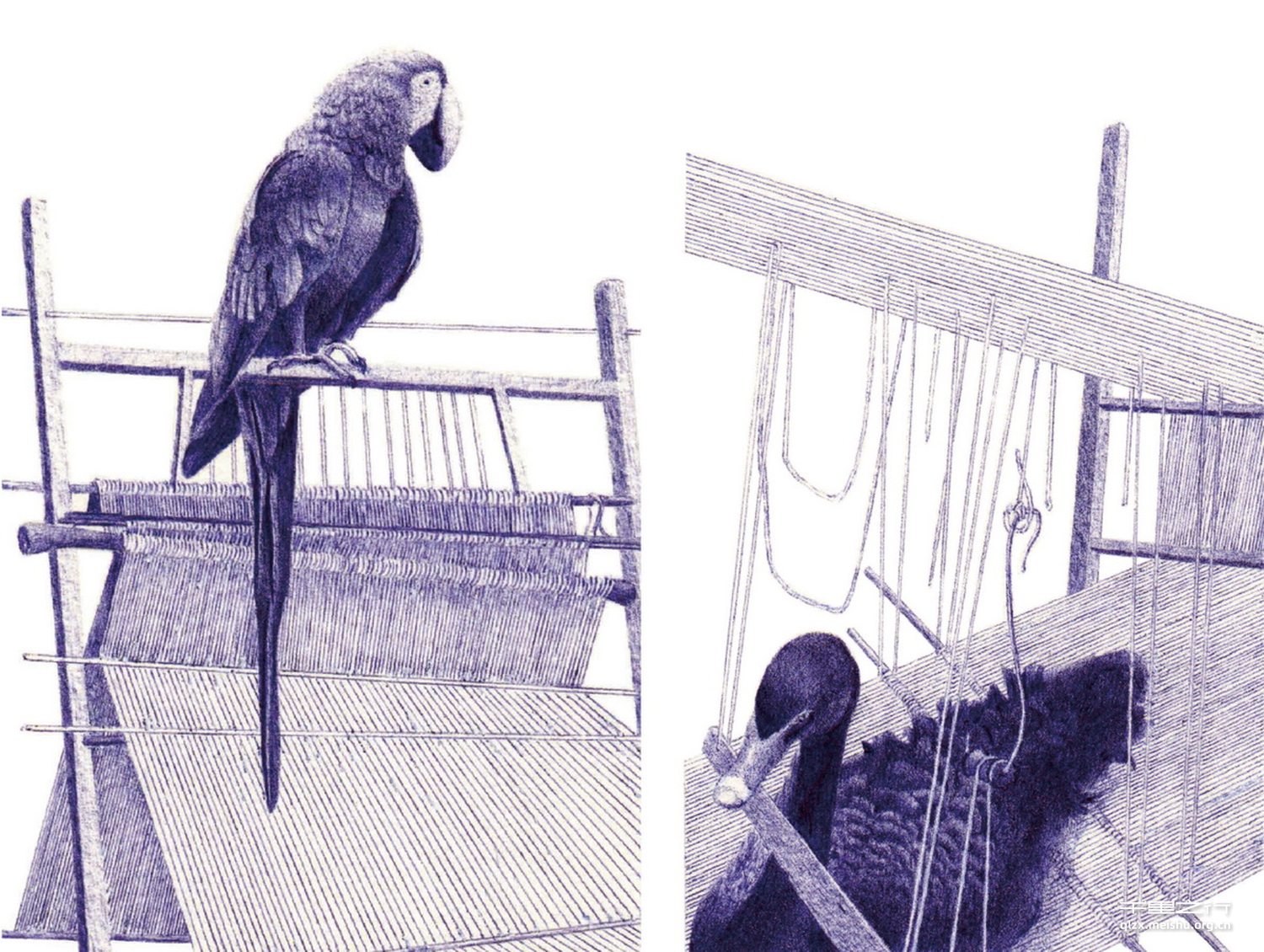 我用线回忆云南