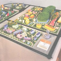 织&middot;中国美术学院