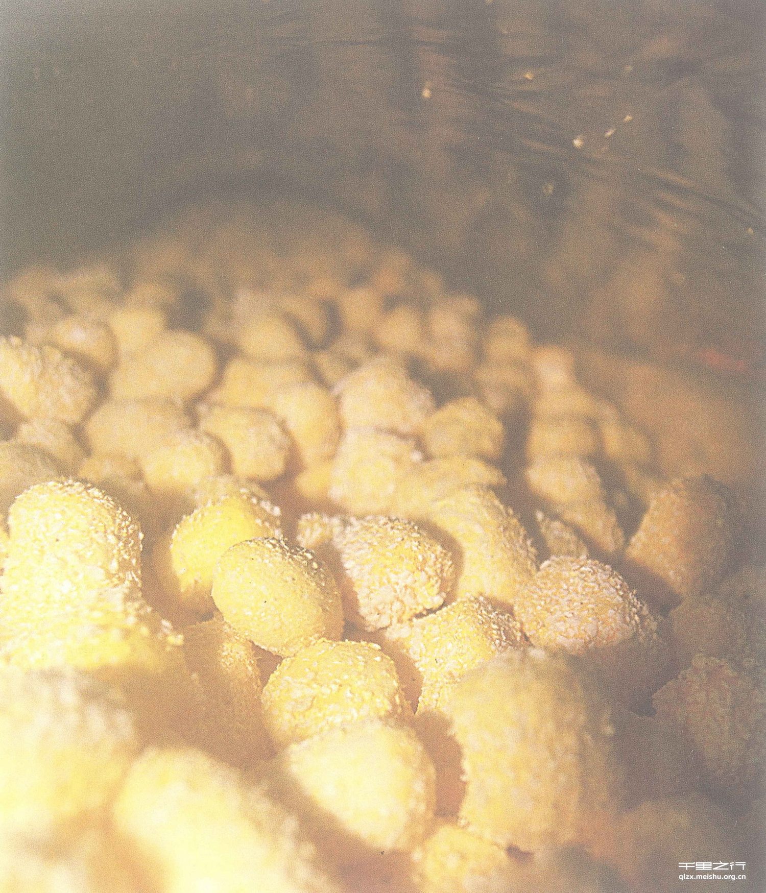 会发光的&ldquo;泡&rdquo;--The Gleamy Paul