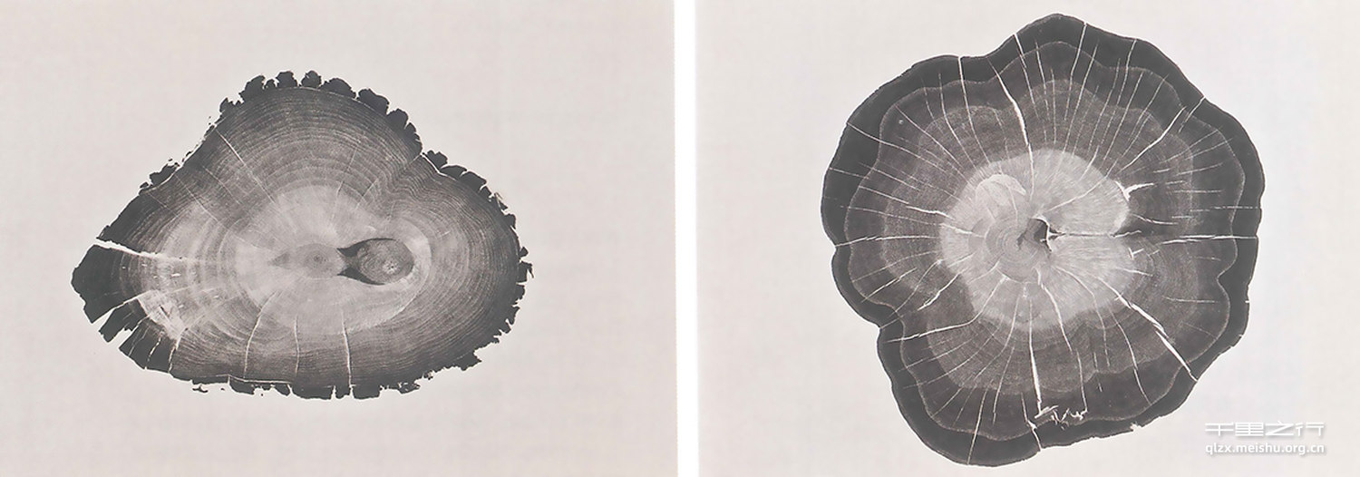 《生命的幻象&middot;孕》之一 《孕》之二 《孕》之三