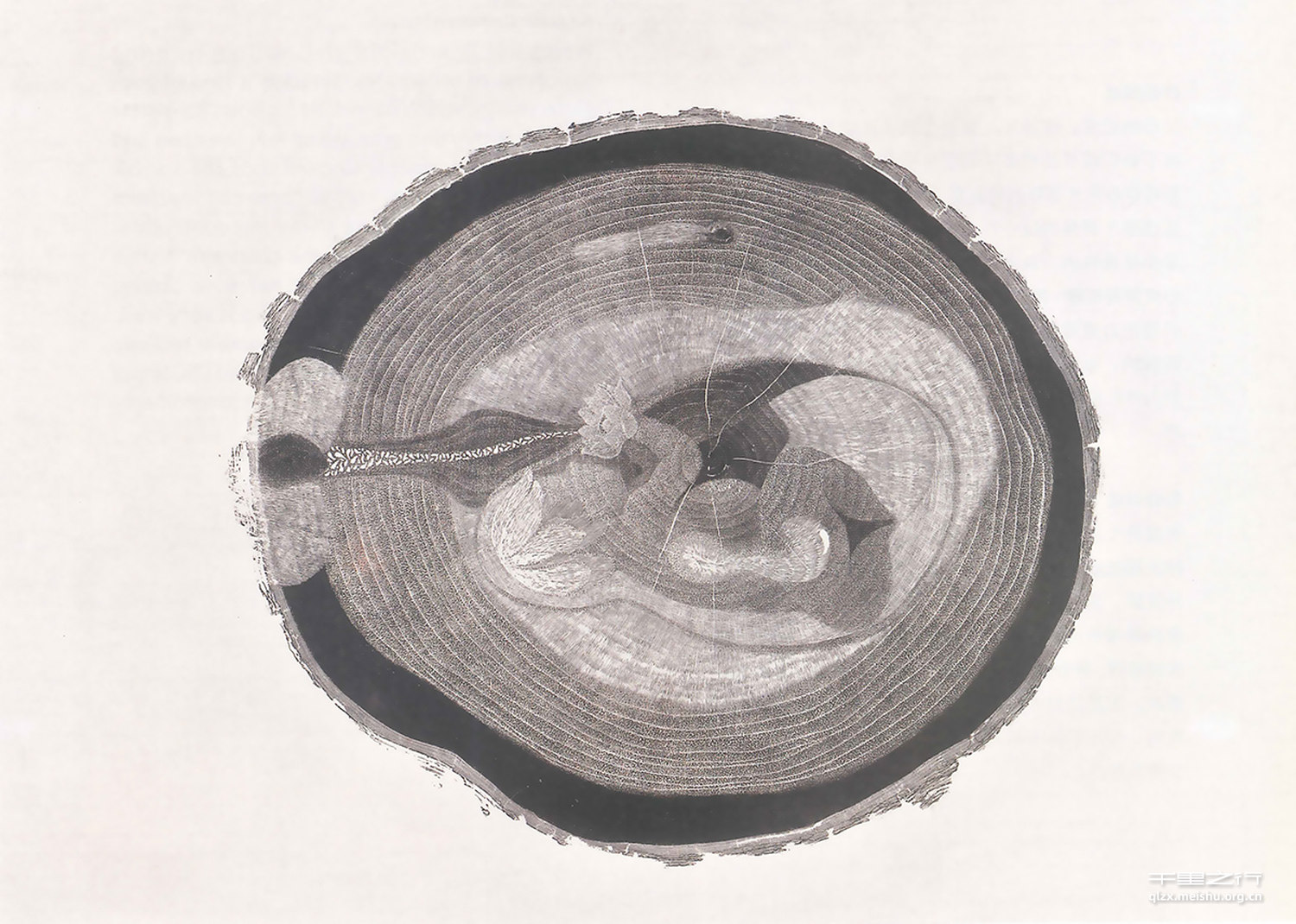 《生命的幻象&middot;孕》之一 《孕》之二 《孕》之三