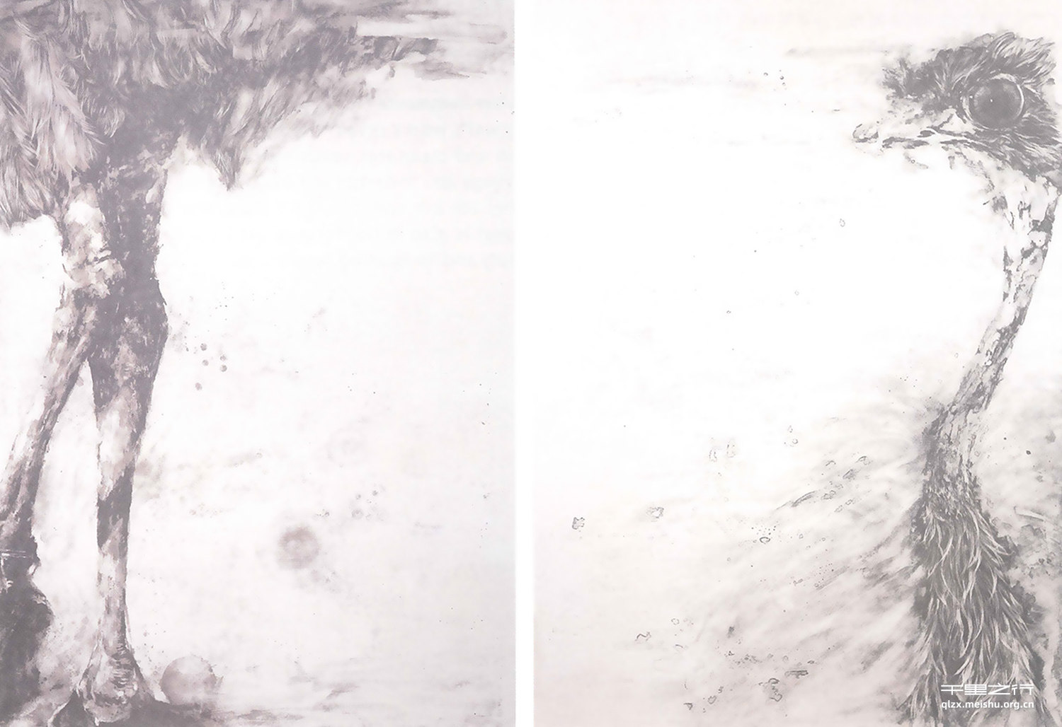 《蹉&middot;鸵》