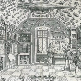 野性的叙事论--“好奇柜”在当代艺术中的运用