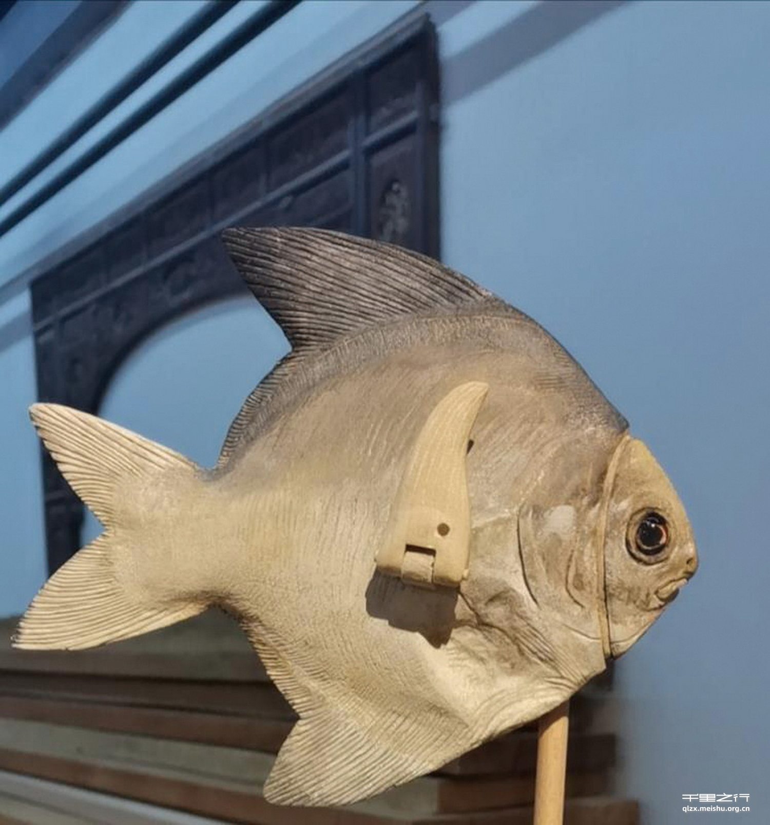 假如我是一条鱼 系列