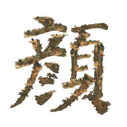 颜&middot;字居品牌设计