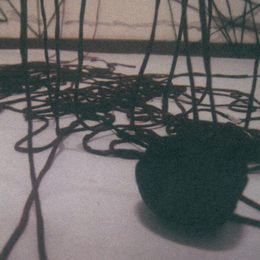 《艺术场域和身体感知》