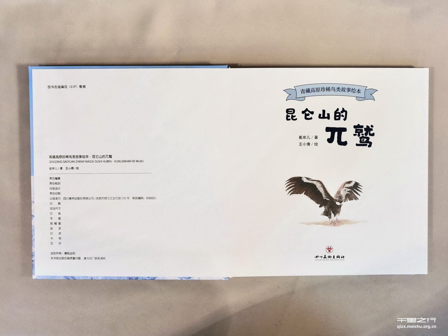 《昆仑山的兀鹫》