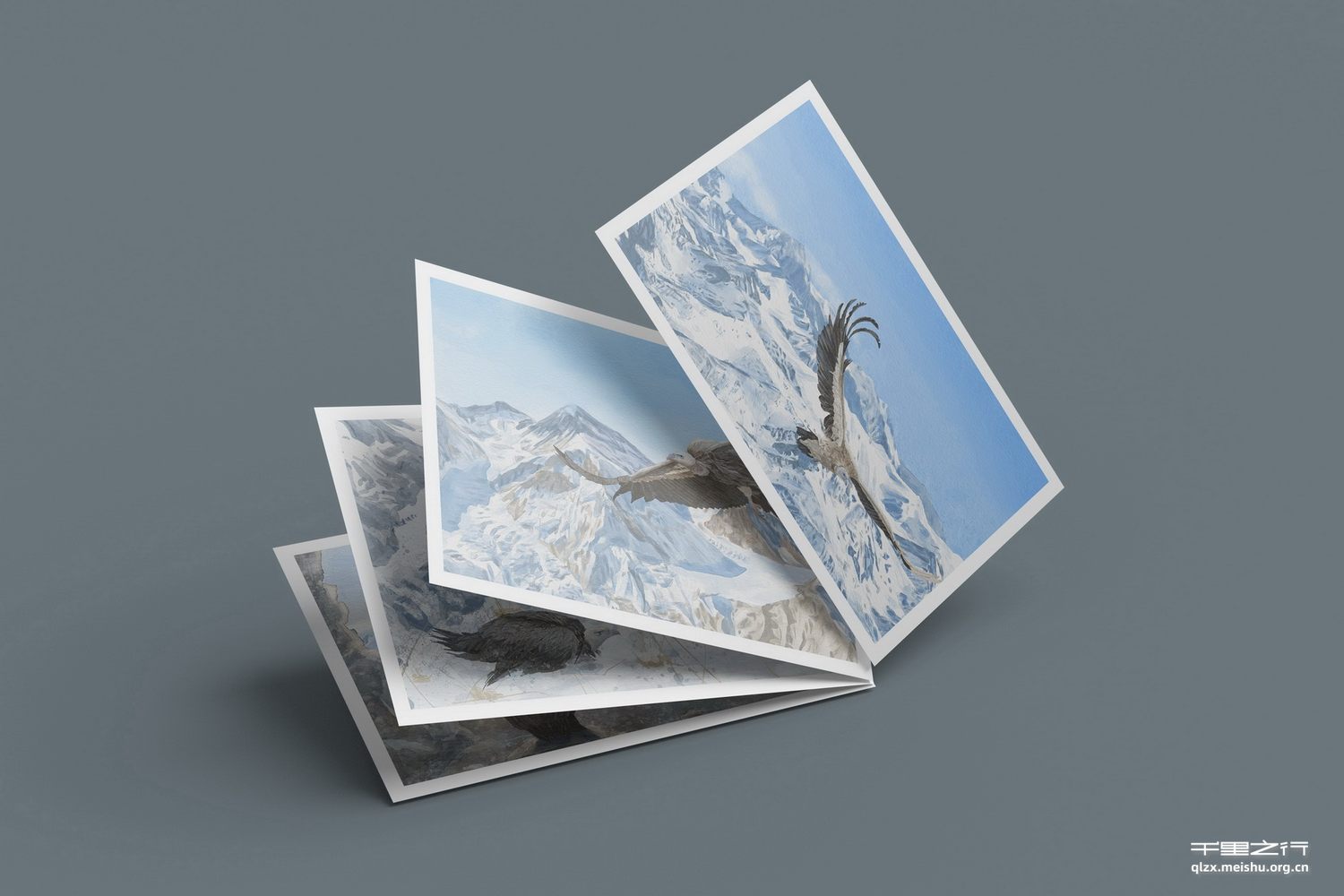 《昆仑山的兀鹫》