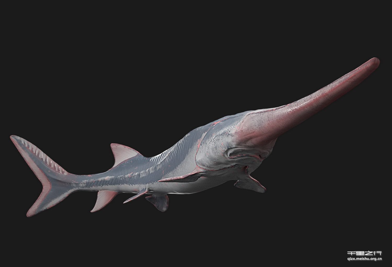 《长江流域之珍稀物种》