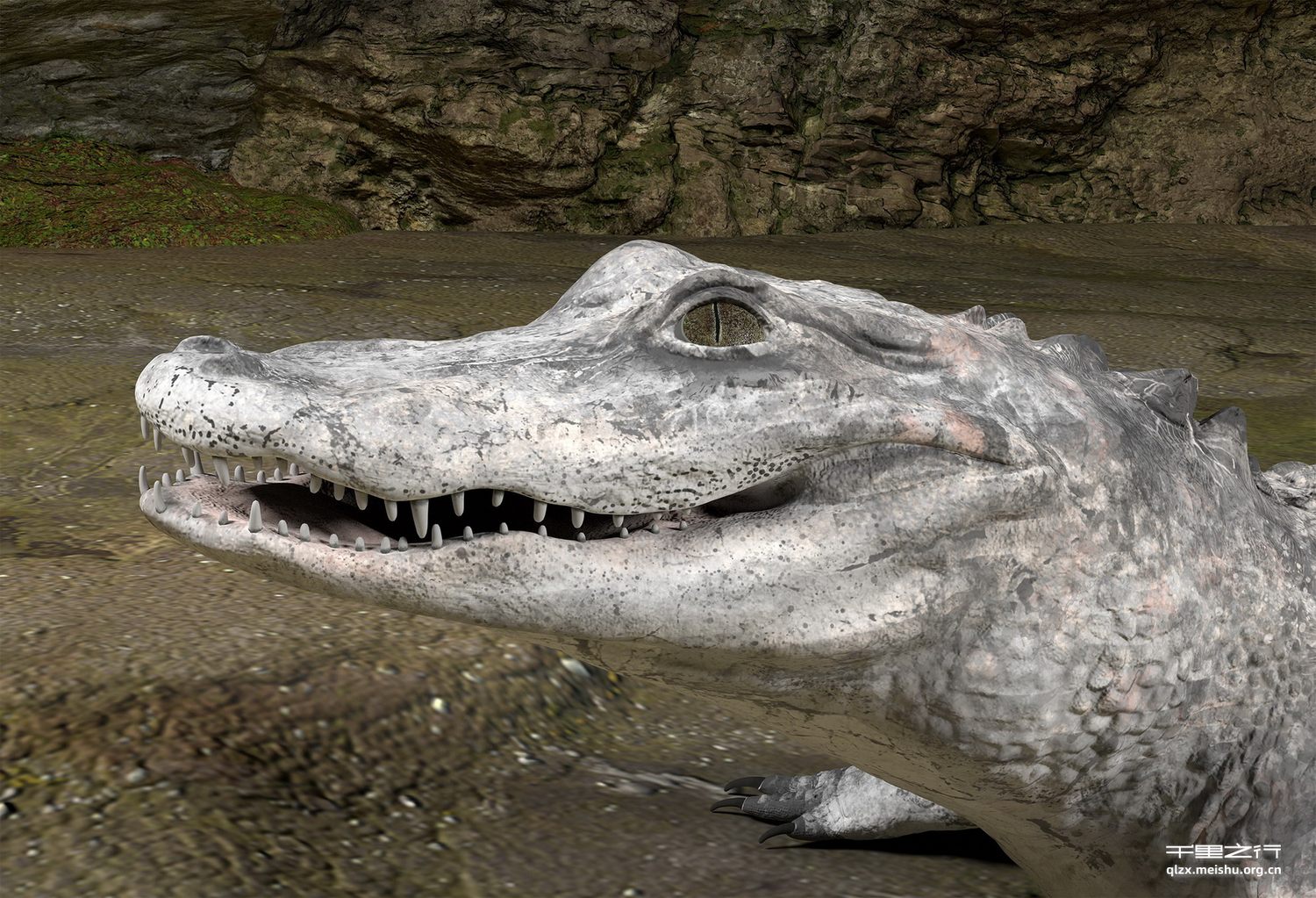 《长江流域之珍稀物种》