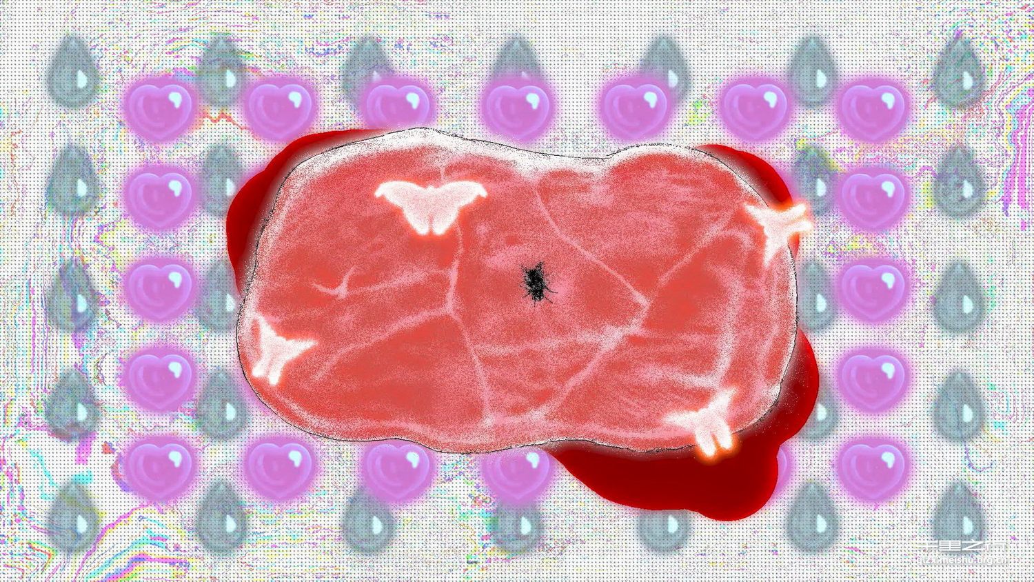 《狗》、《未来》、《真命天女》、《肉》