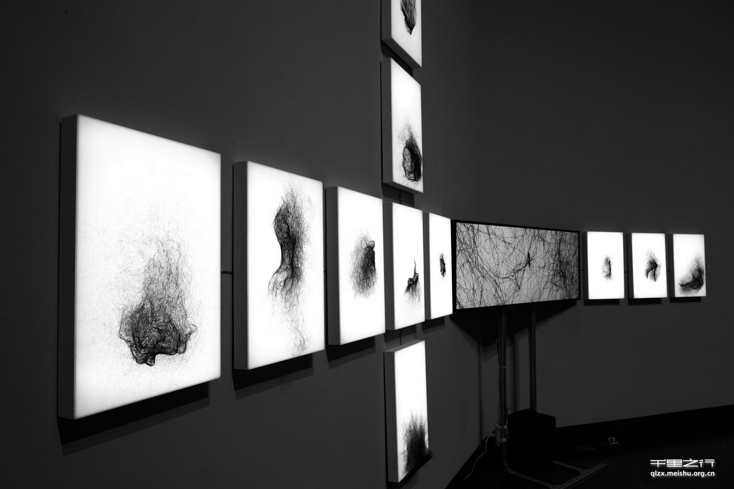 《熵——绪、丘》