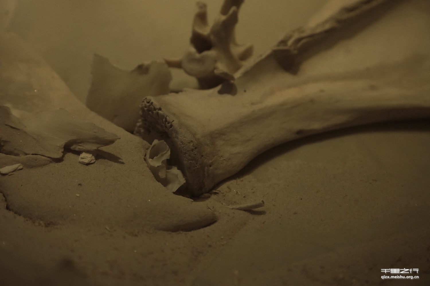 《熵——绪、丘》