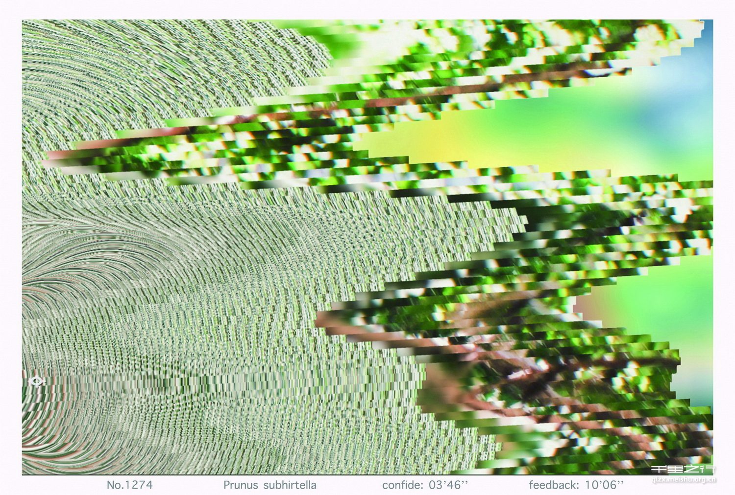 《万里尚为邻》