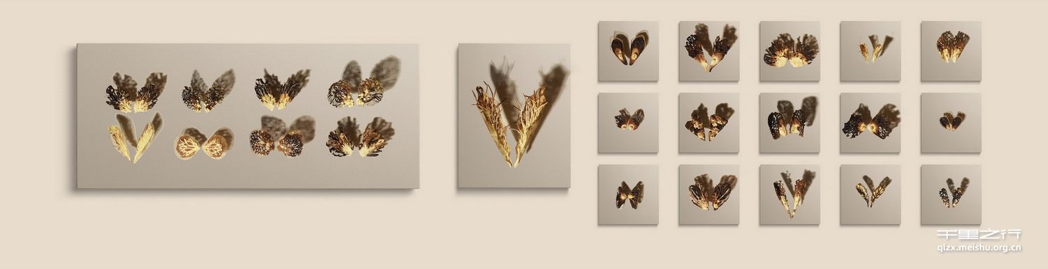 《一千零一封情书》