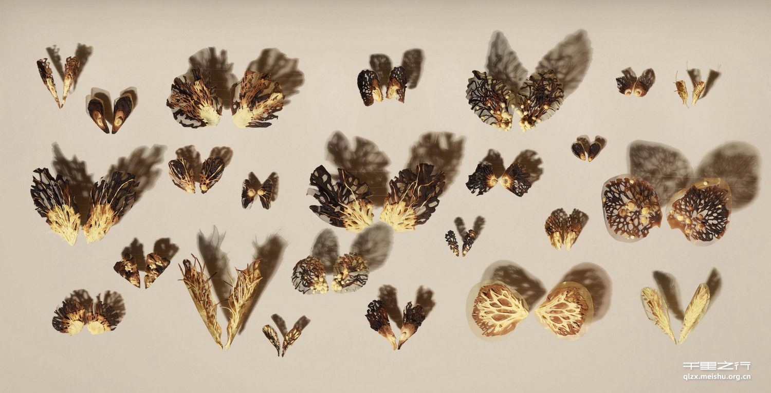 《一千零一封情书》