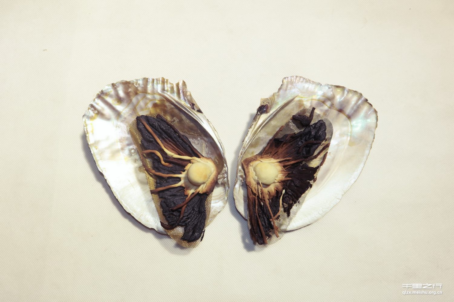 《一千零一封情书》