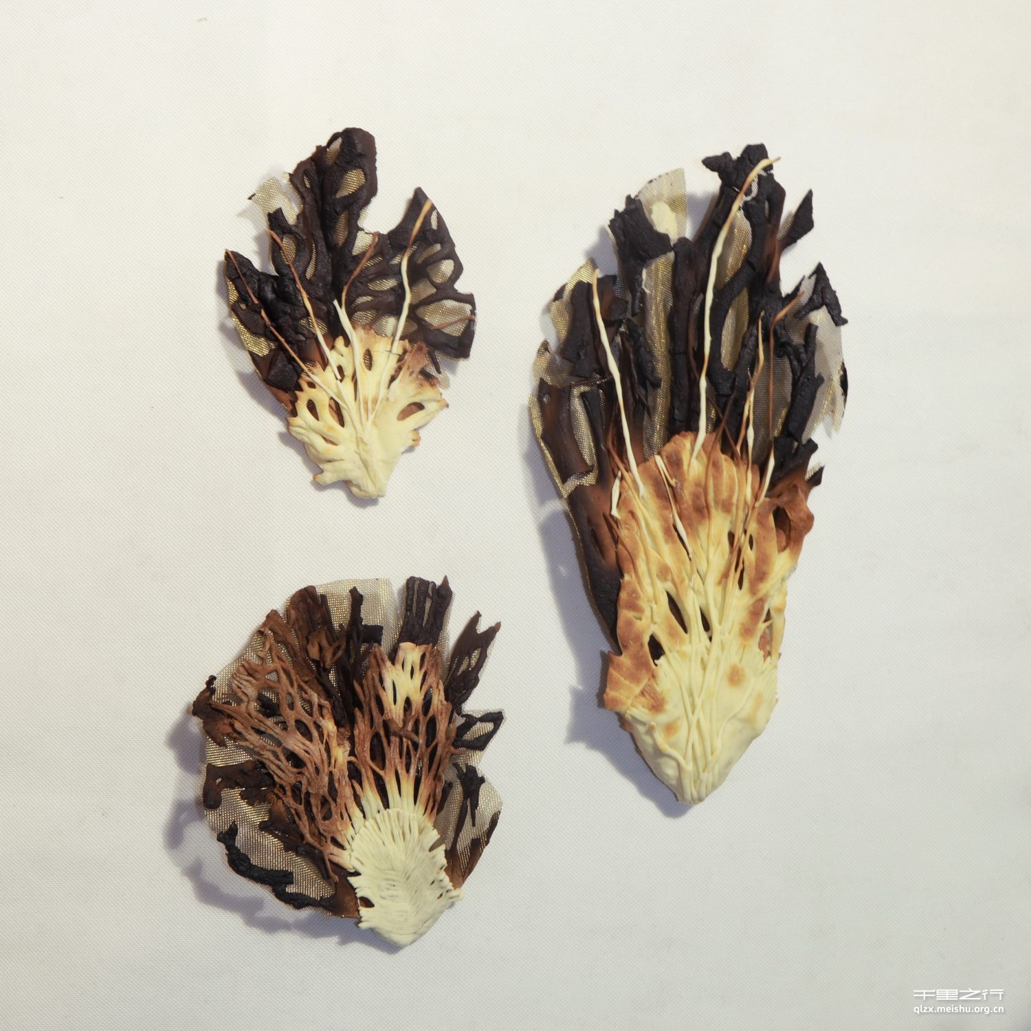 《一千零一封情书》