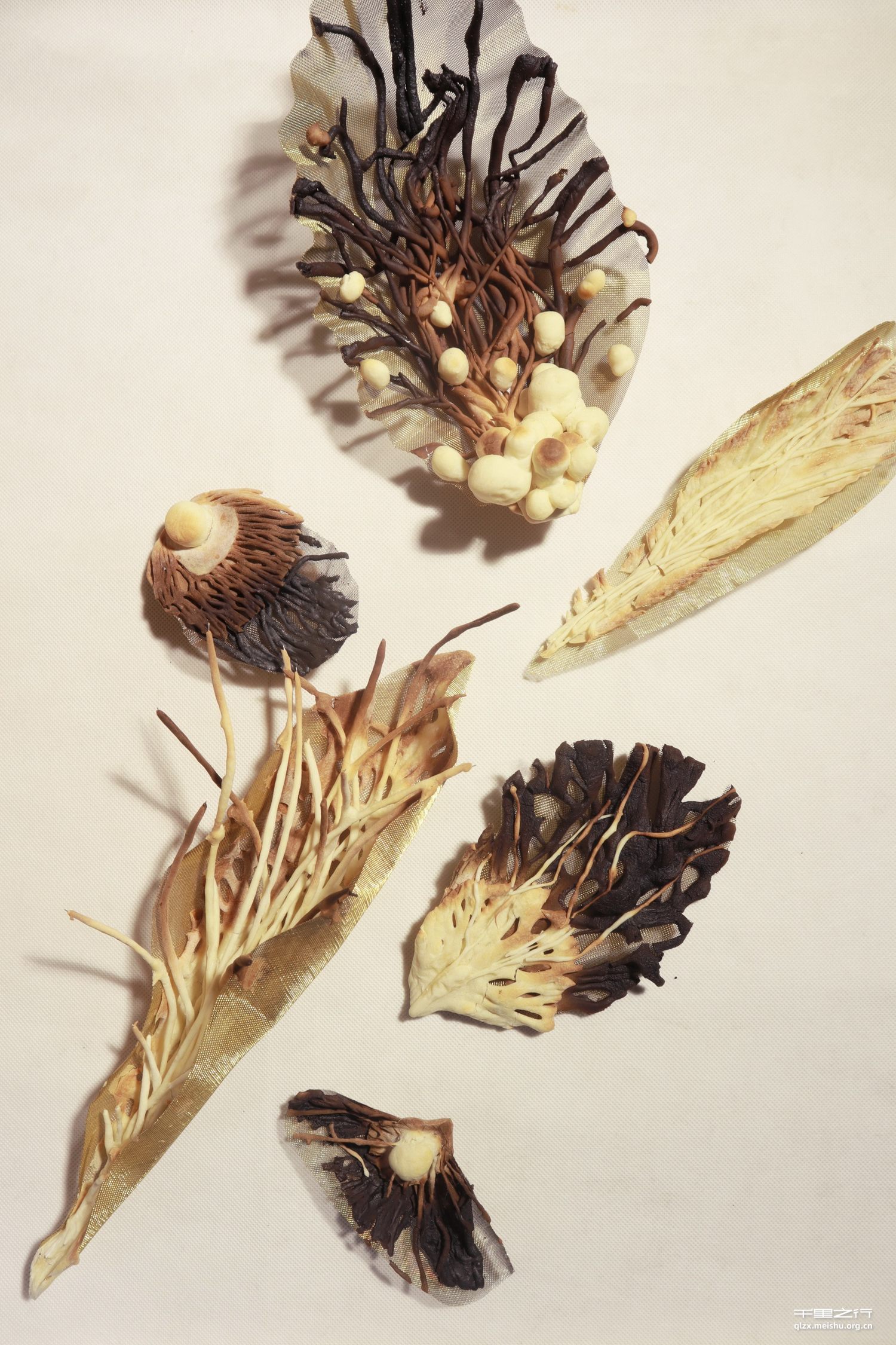 《一千零一封情书》