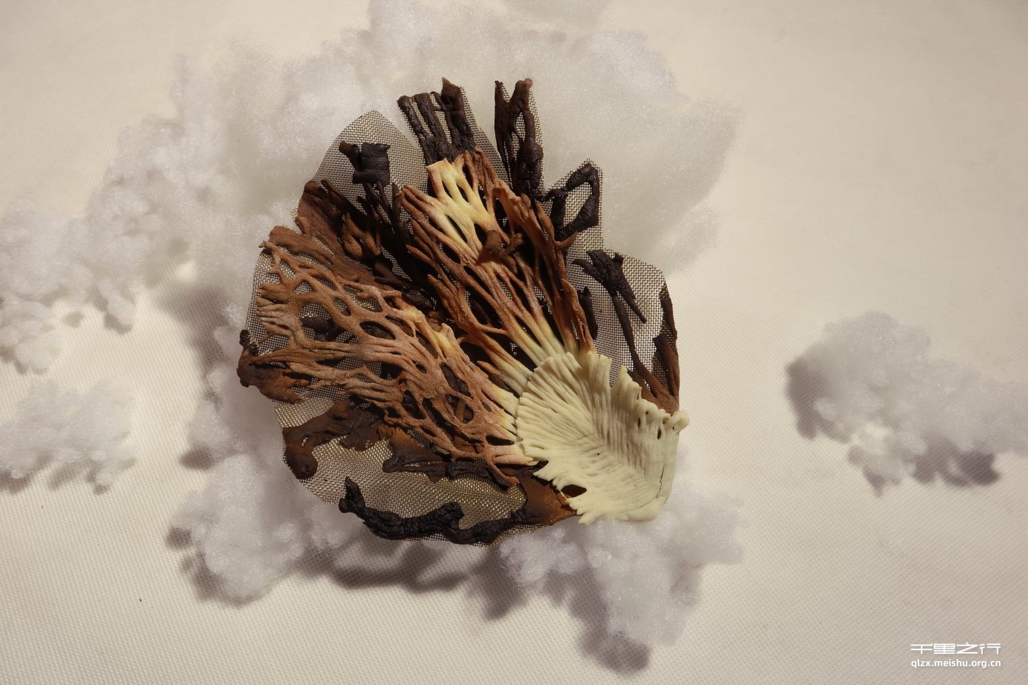 《一千零一封情书》