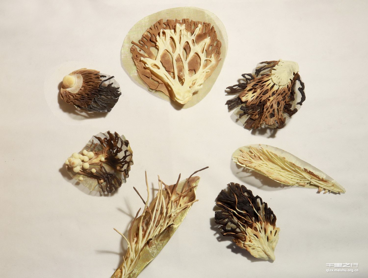 《一千零一封情书》