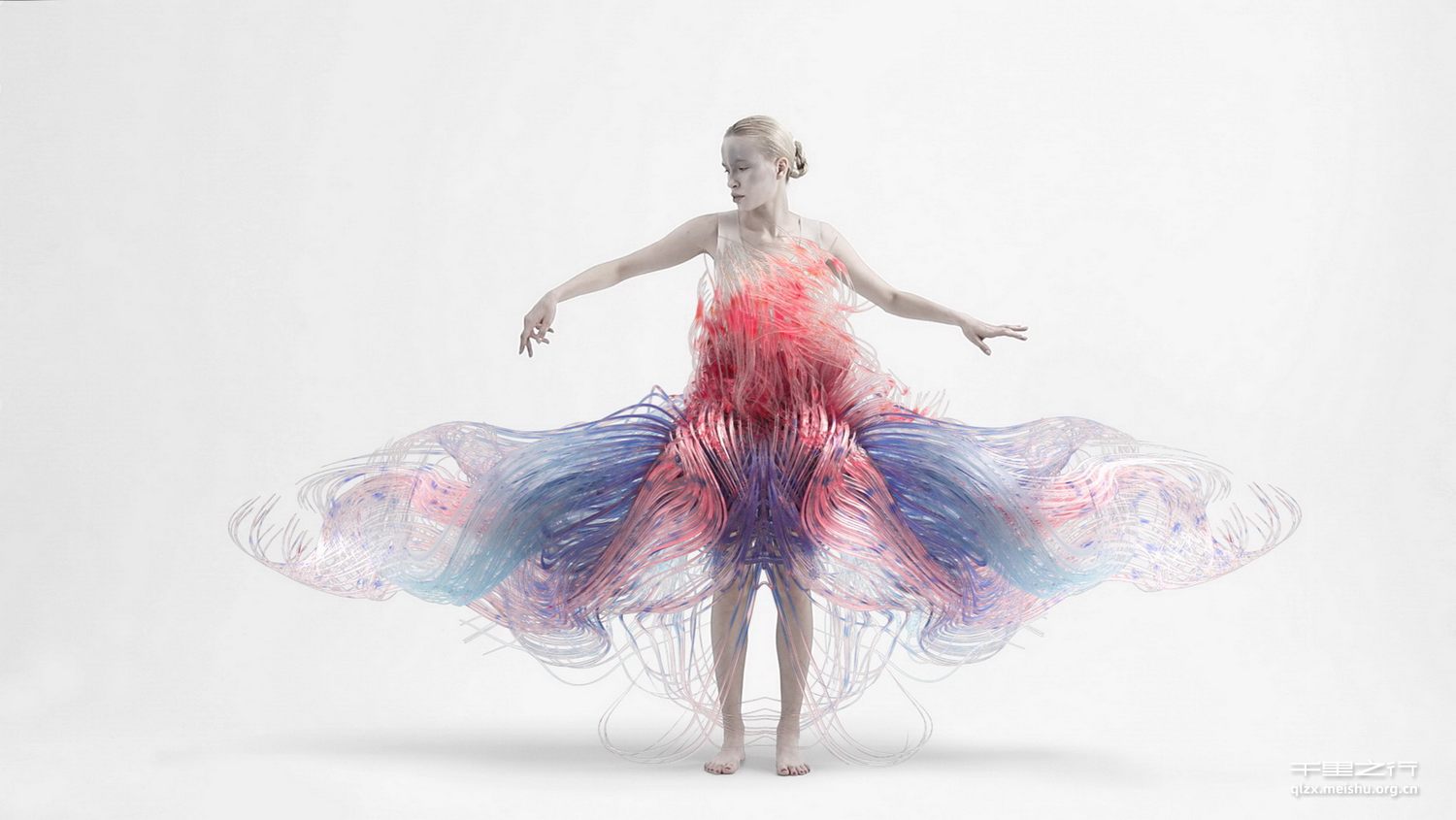 《生命原力|Living Force》