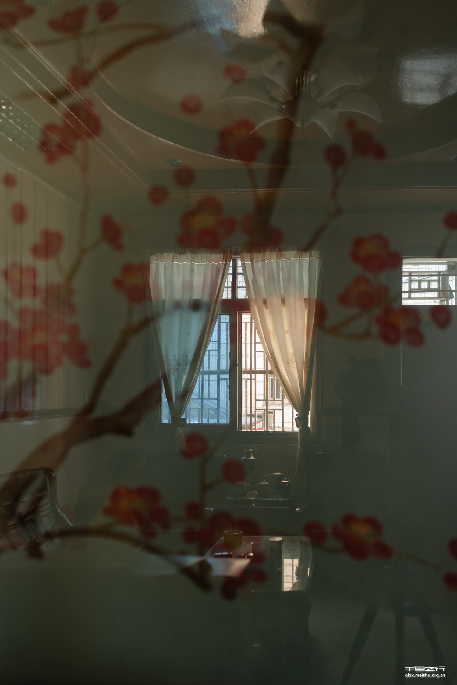 《景象·镜像》