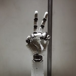 《“冰冷”的手》