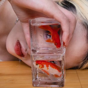 蘤與魚