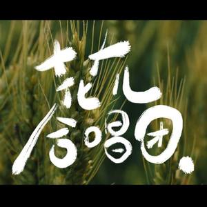 《花儿合唱团》