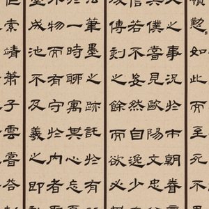 《苏东坡题跋》《书谱选抄》