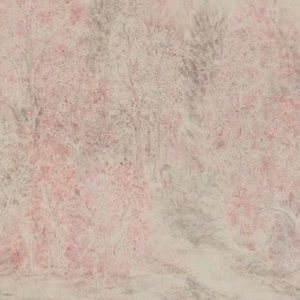 桃花流水窅然去