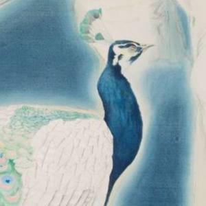 《乔木与灌木》