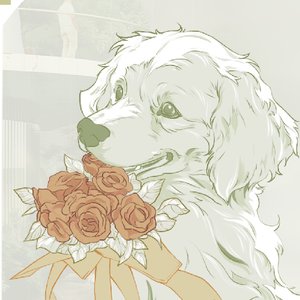 Tail Waggin' Haven——人宠共生视角下的流浪动物庇护所设计