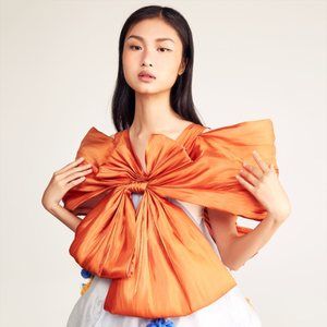 爱丽丝梦游仙境