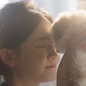 《回到我的故事里》