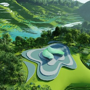 问稻——农以载道，低碳先行