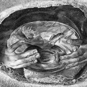 不知终日梦为鱼