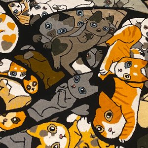 猫奴的组成部分