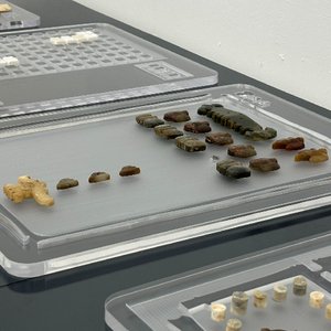 明天会是什么样子？