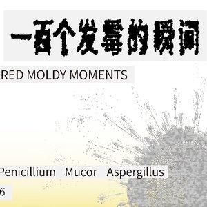 一百个发霉的瞬间
