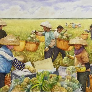 《徐闻·丰收菠萝的海》