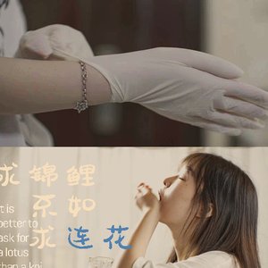 《求锦鲤不如求连花》